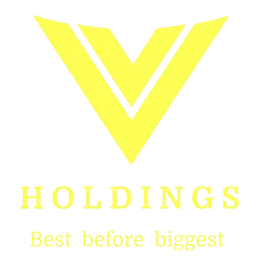 V Holdings