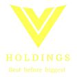 V Holdings